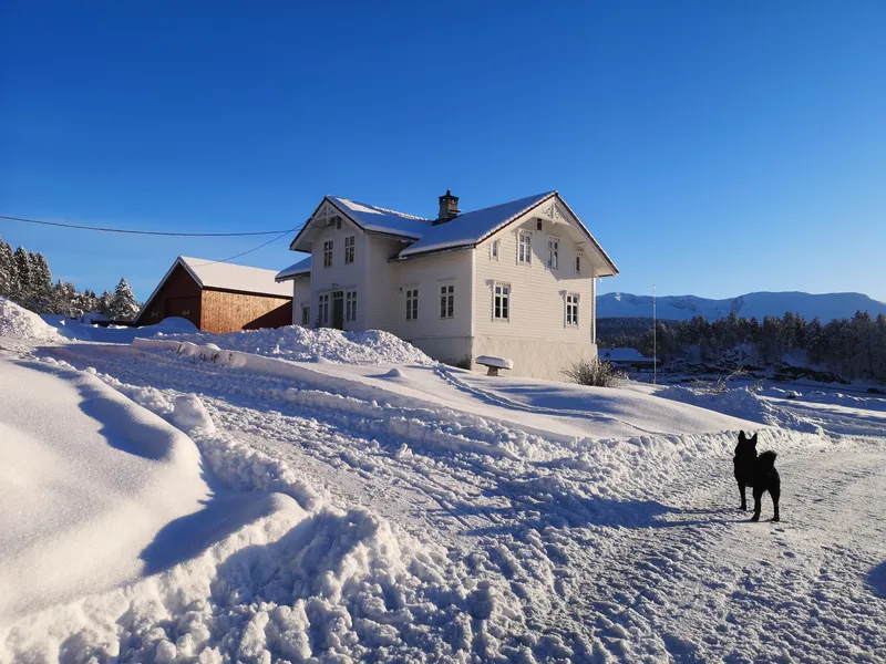Bilde av Ask og garden