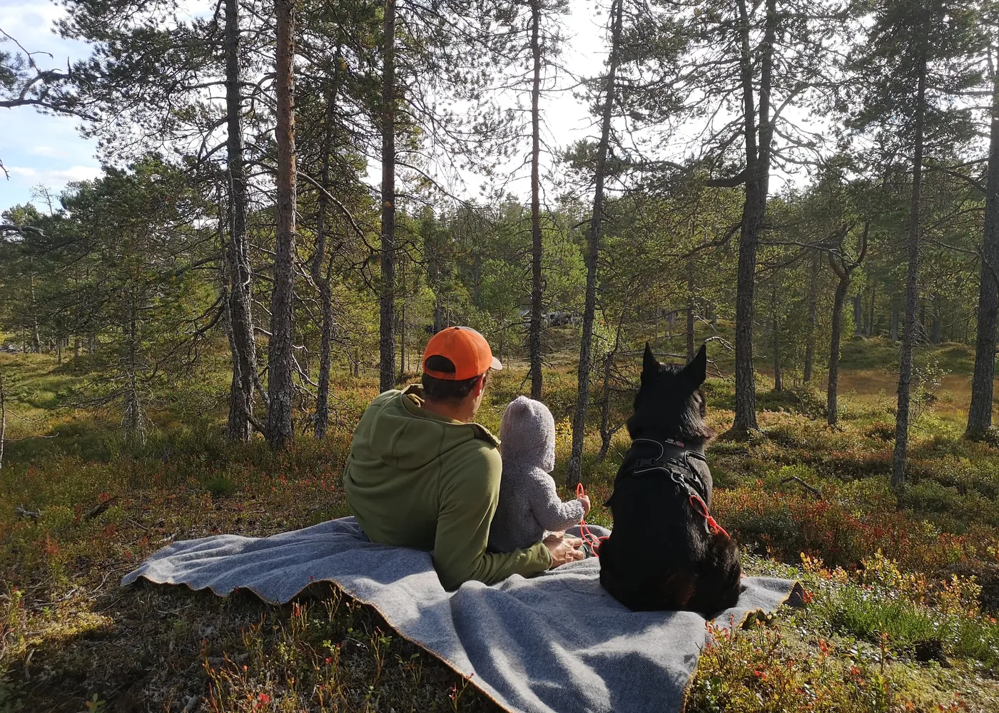 Familien på tur i skogen