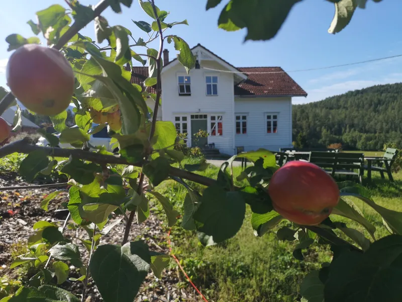 Bilde av garden