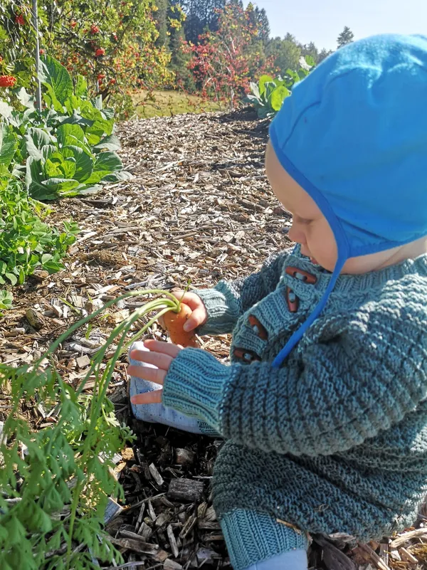 Bilde frå garden